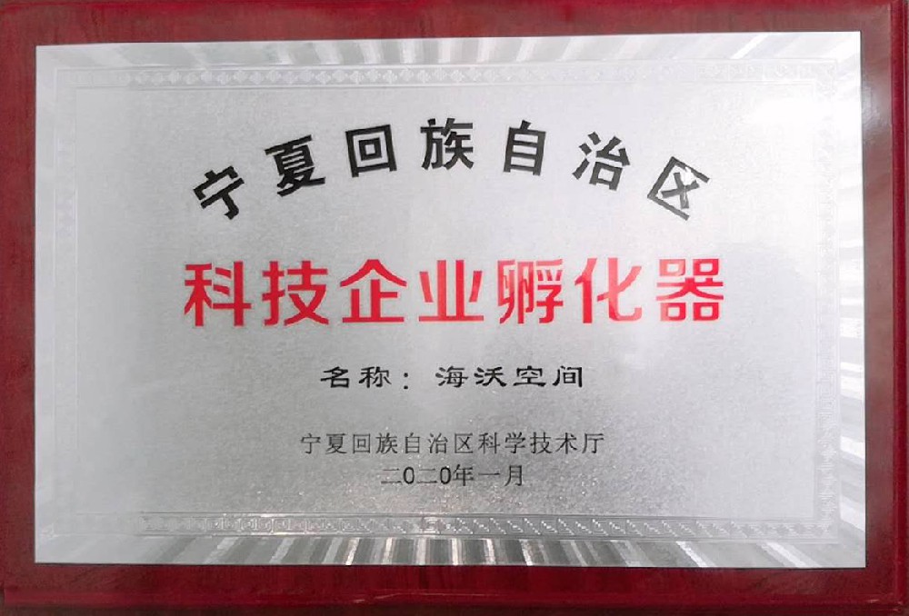 自治区科技企业孵化器